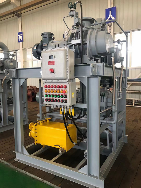 Water-ring Roots Vacuum Pump (3)