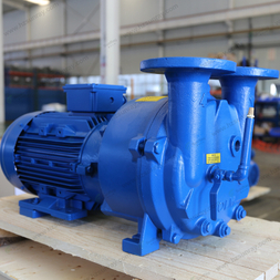 2BV Series Water-ring Vacuum Pump
